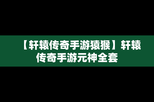 【轩辕传奇手游猿猴】轩辕传奇手游元神全套