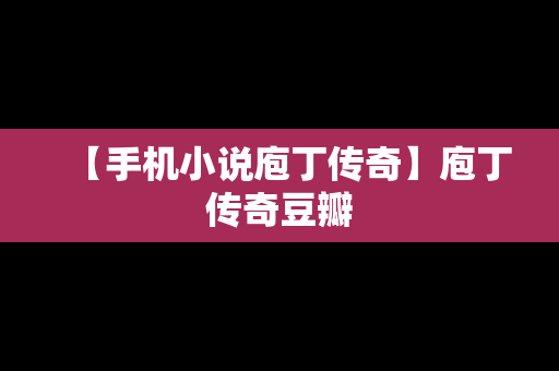 【手机小说庖丁传奇】庖丁传奇豆瓣
