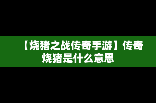 【烧猪之战传奇手游】传奇烧猪是什么意思