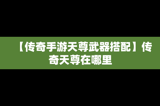 【传奇手游天尊武器搭配】传奇天尊在哪里