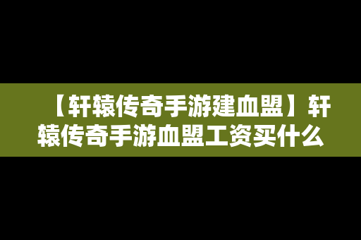 【轩辕传奇手游建血盟】轩辕传奇手游血盟工资买什么划算