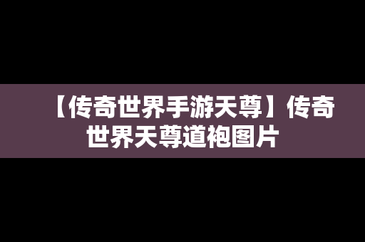 【传奇世界手游天尊】传奇世界天尊道袍图片