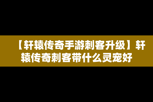 【轩辕传奇手游刺客升级】轩辕传奇刺客带什么灵宠好