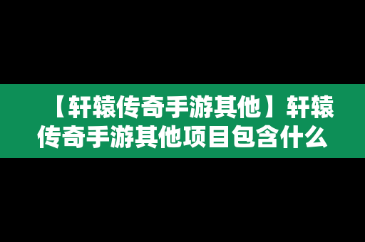 【轩辕传奇手游其他】轩辕传奇手游其他项目包含什么