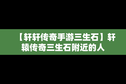 【轩轩传奇手游三生石】轩辕传奇三生石附近的人