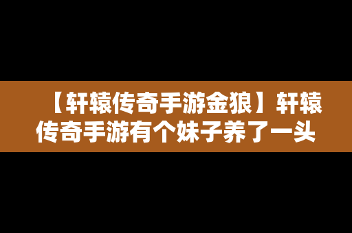 【轩辕传奇手游金狼】轩辕传奇手游有个妹子养了一头浑身金黄的狼