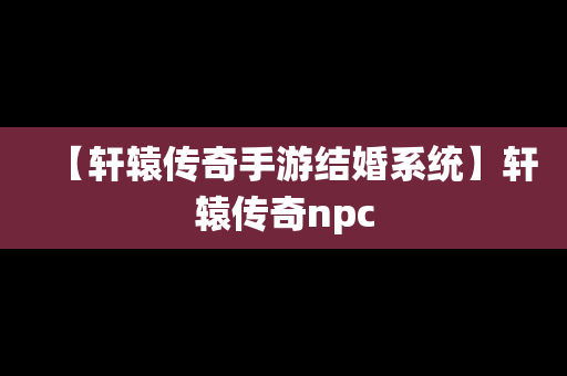 【轩辕传奇手游结婚系统】轩辕传奇npc