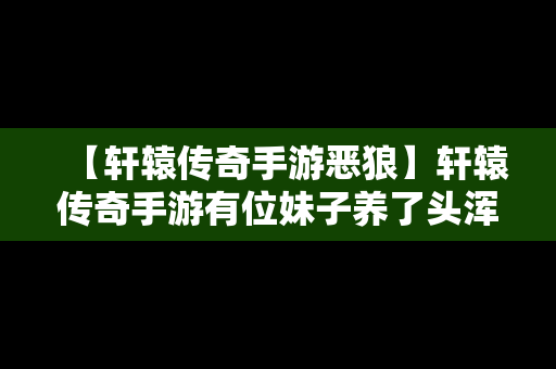 【轩辕传奇手游恶狼】轩辕传奇手游有位妹子养了头浑身金黄的狼