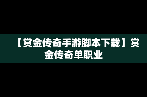 【赏金传奇手游脚本下载】赏金传奇单职业